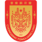 Chongqing Tongliang Long badge