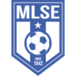 Martfűi LSE badge
