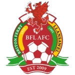 Briton Ferry badge