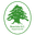 Boavista SC badge