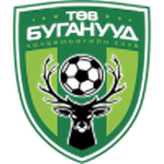 Central Stallions badge