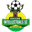 Soccer Intellectuals badge
