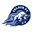 Celaya badge