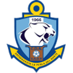 Antofagasta badge
