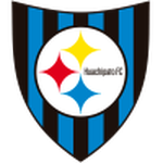 Huachipato badge