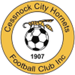 Cessnock City Hornets badge
