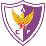 Fenix badge