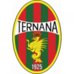 Ternana W W badge