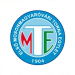 MTE 1904 badge