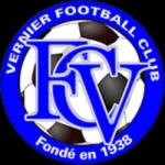 Vernier badge