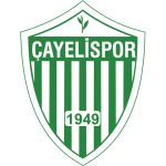 Çayelispor badge