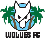 Wolues badge