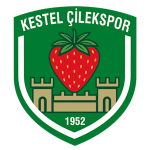 Kestel Çilek badge