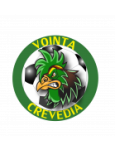 Voința Crevedia badge