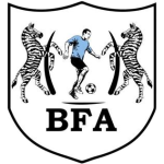 Black Lions badge