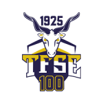TFSE Budapest badge