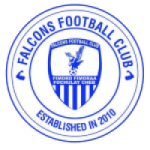 Falcons badge