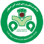 ZOB Ahan badge