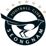 Seongnam FC badge