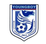 Dalian Yingbo B badge