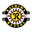 Kashiwa Reysol badge
