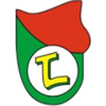 Lushnja badge