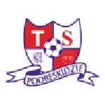 Podbeskidzie badge