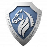 Merani Tbilisi badge