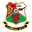 llanelli AFC