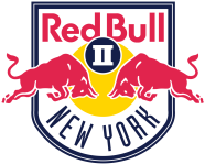 New York RB II badge