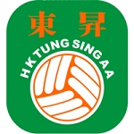 Tung Sing badge