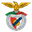 Benfica Castelo Branco badge