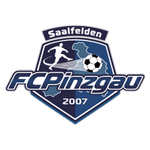 Pinzgau Saalfelden badge