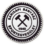 Sárisápi Bányász badge
