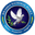 Police badge