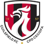 Guilsfield badge