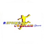 Sprimont badge
