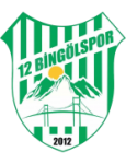 Bingölspor badge