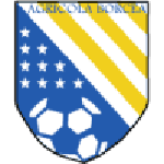 Agricola Borcea badge