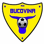Bucovina Rădăuţi badge
