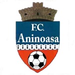 Pucioasa badge