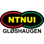 NTNUI badge