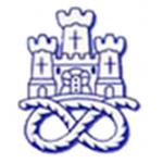 Newcastle Town badge