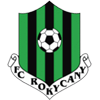 Rokycany badge