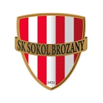 Sokol Brozany badge