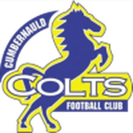 Cumbernauld Colts badge