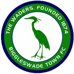 Biggleswade badge