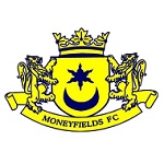 Moneyfields badge