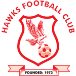 Hawks badge