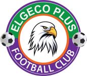 Elgeco Plus badge